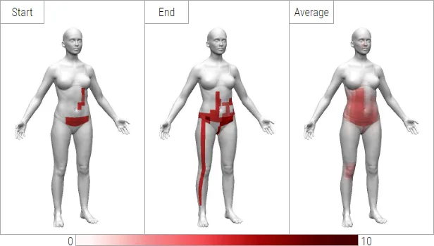 PainTrek Report Body Heatmap